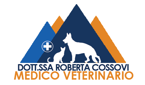 AMBULATORIO VETERINARIO RIOVEGGIO